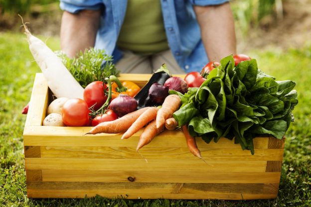 Come Mangiano Gli Italiani Ricerca Eurisko Per Menarini