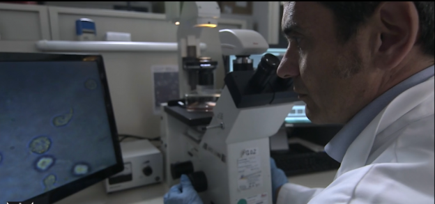menarini ricerca oncologica